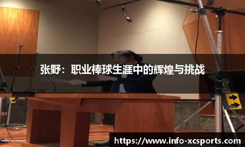 张野：职业棒球生涯中的辉煌与挑战